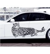 Nálepka na auto aj stenu Leopard