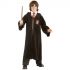 Karnevalový kostým Harry Potter