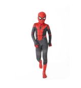 Karnevalový kostým Spiderman